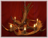 6 Antler, 8 Light Medium Moose Chandelier