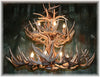 34 Antler, 16 Light Deluxe Two Tier Whitetail Antler Chandelier