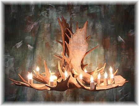 9 Antler, 18 Light Trophy Moose Chandelier with down light