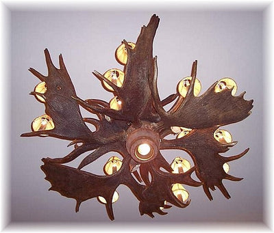 9 Antler, 18 Light Trophy Moose Chandelier with down light