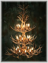 52 Antler, 24 Light Three Tier Mule Deer Antler Chandelier