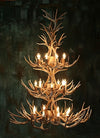 52 Antler, 24 Light Three Tier Mule Deer Antler Chandelier