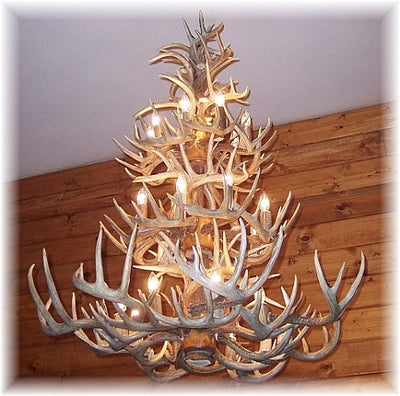 52 Antler, 24 Light Three Tier Whitetail Antler Chandelier