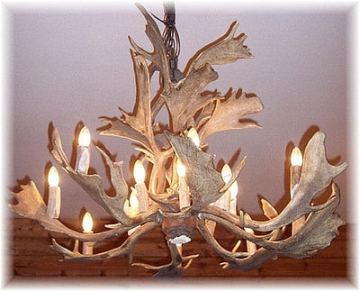 17 Antler, 16 Light Fallow Deer Antler Cascading Chandelier