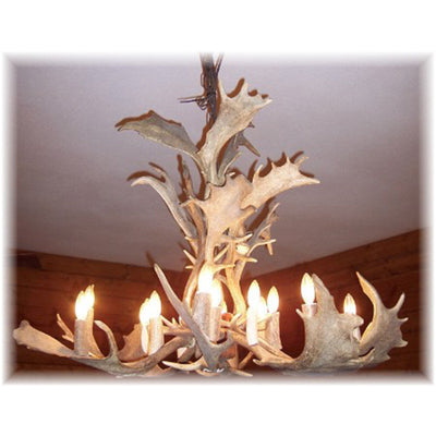 17 Antler, 16 Light Fallow Deer Antler Cascading Chandelier