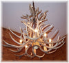 16 Antler, 8 Light Large Cascading Mule Deer Antler Chandelier