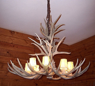 16 Antler, 8 Light Large Cascading Mule Deer Antler Chandelier