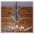 16 Antler, 8 Light Large Cascading Mule Deer Antler Chandelier