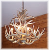 22 Antler, 8 Light Cascading Whitetail Antler Chandelier