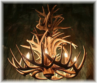 22 Antler, 8 Light Cascading Whitetail Antler Chandelier