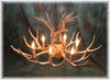 9 Antler, 6 Light Mule Deer Antler Chandelier