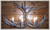 9 Antler, 6 Light Mule Deer Antler Chandelier