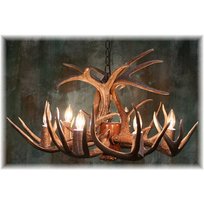 9 Antler, 6 Light Whitetail Antler Dining Room Chandelier