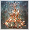 13 Antler, 18 Light Medium Elk Antler Chandelier