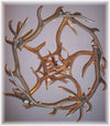 13 Antler, 18 Light Medium Elk Antler Chandelier