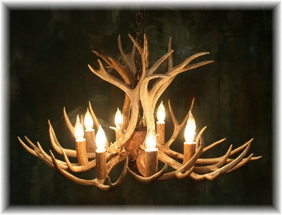 12 Antler, 8 Light Mule Deer Antler Chandelier