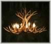 12 Antler, 8 Light Mule Deer Antler Chandelier