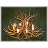 12 Antler, 8 Light Mule Deer Antler Chandelier