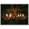 12 Antler, 8 Light Whitetail Antler Chandelier