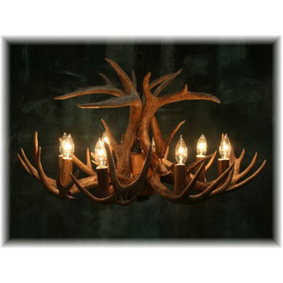 12 Antler, 8 Light Whitetail Antler Chandelier