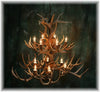 24 Antler, 12 Light Two Tier Whitetail Antler Chandelier