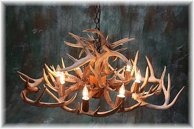 16 Antler, 8 Light Oblong Whitetail Chandelier