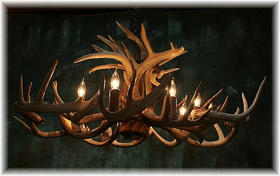 16 Antler, 8 Light Oblong Whitetail Chandelier