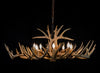 16 Antler, 8 Light Oblong Whitetail Chandelier