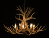 12 Antler, 8 Light Mule Deer Antler Chandelier