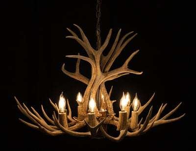 12 Antler, 8 Light Mule Deer Antler Chandelier