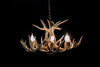 9 Antler, 6 Light Whitetail Antler Dining Room Chandelier