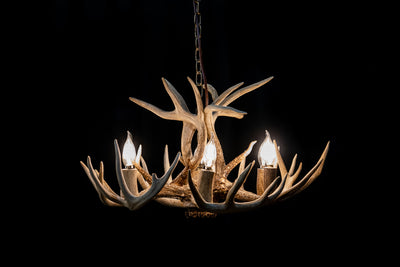 9 Antler, 6 Light Whitetail Antler Dining Room Chandelier