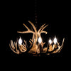 9 Antler, 6 Light Whitetail Antler Dining Room Chandelier