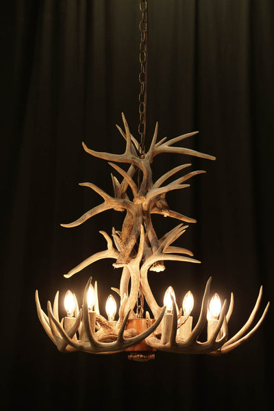 15 Antler, 6 Light Cascading Whitetail Deer Antler Chandelier