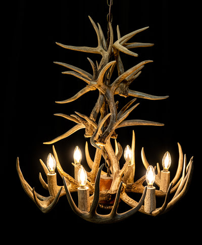 15 Antler, 6 Light Cascading Whitetail Deer Antler Chandelier