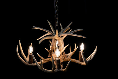 8 Antler, 4 Light Mini Whitetail Antler Chandelier