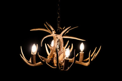 8 Antler, 4 Light Mini Whitetail Antler Chandelier