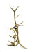 Large Elk Antler Coat Rack/Hall Tree