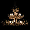 34 Antler, 16 Light Deluxe Two Tier Whitetail Antler Chandelier