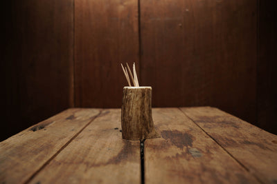 Elk Antler Toothpick Holder