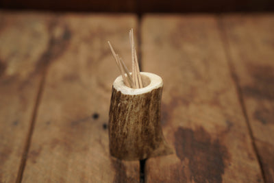 Elk Antler Toothpick Holder