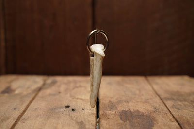 Antler Tip Keychains