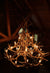 24 Antler, 27 Light Elk Antler Chandelier