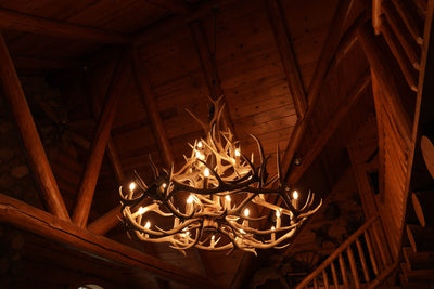 24 Antler, 27 Light Elk Antler Chandelier