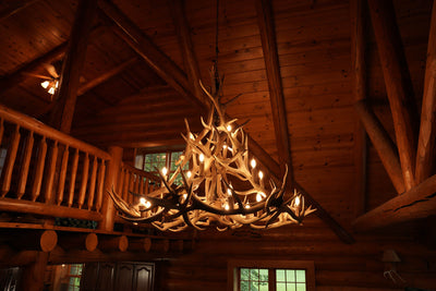 24 Antler, 27 Light Elk Antler Chandelier