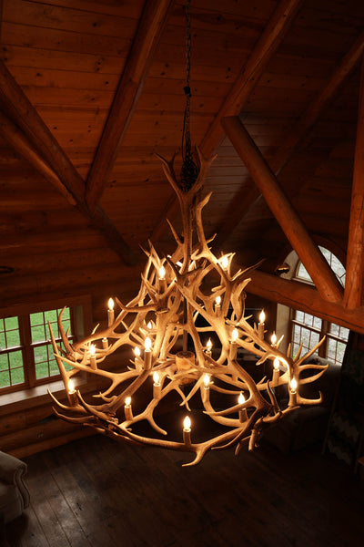 24 Antler, 27 Light Elk Antler Chandelier