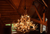 24 Antler, 27 Light Elk Antler Chandelier