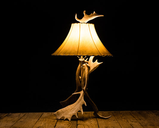 Fallow Deer Antler Table Lamp
