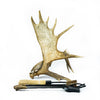 Moose Antler Fireplace Set