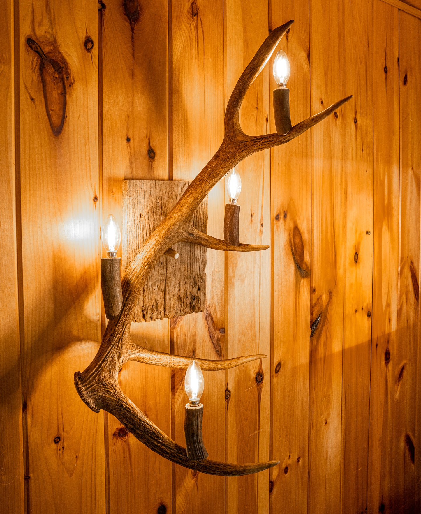 Elk Antler 4 Light Sconce